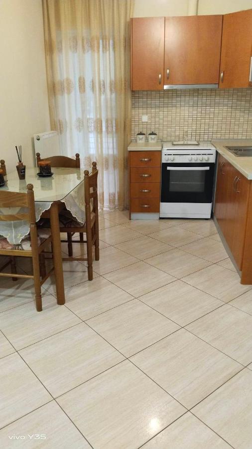 Ομορφο Διαμερισμα Στο Κεντρο Της Πολης Με Παρκιν Lejlighed Tríkala Eksteriør billede