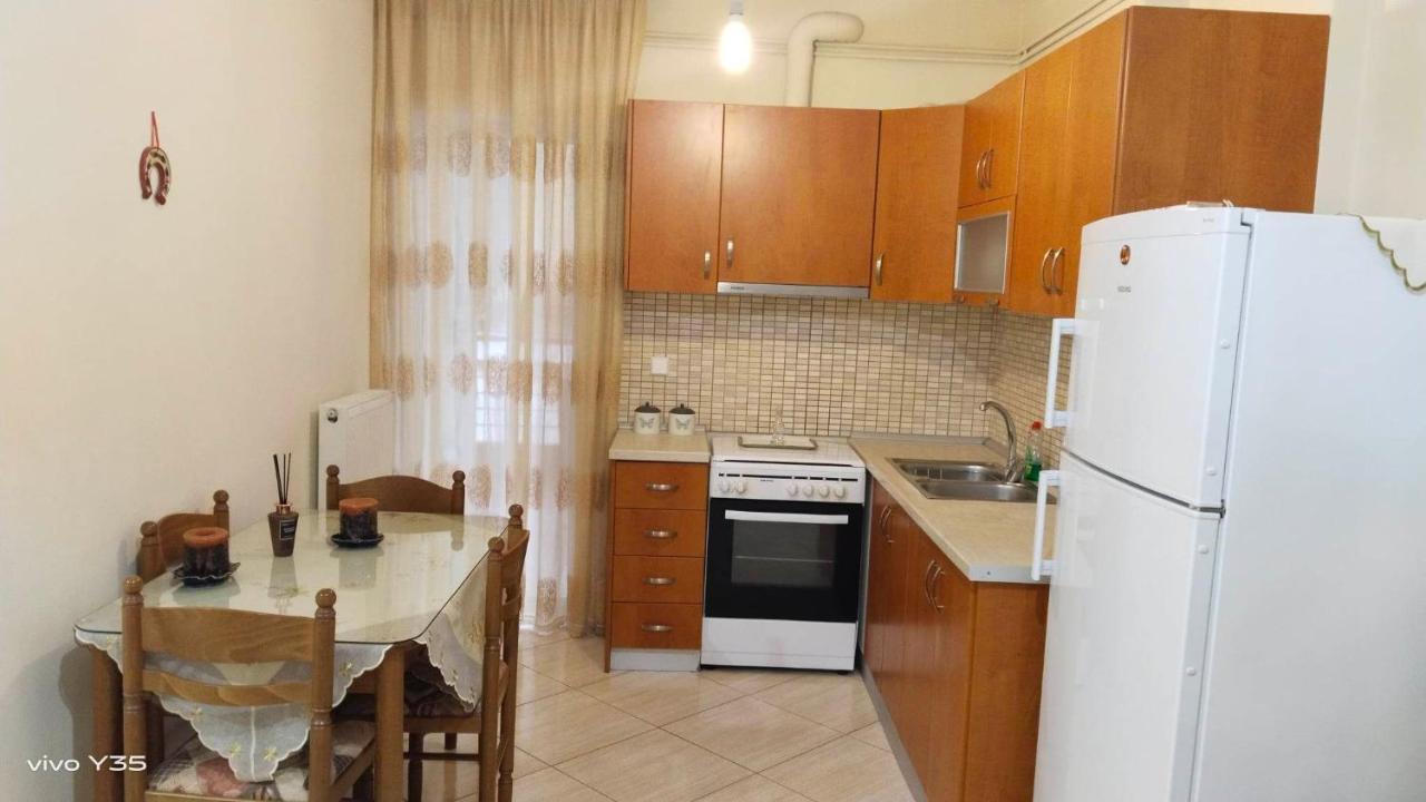 Ομορφο Διαμερισμα Στο Κεντρο Της Πολης Με Παρκιν Lejlighed Tríkala Eksteriør billede